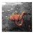 pol_pm_Plyta-Junes-Po-Remoncie-EP-606_3.jpg